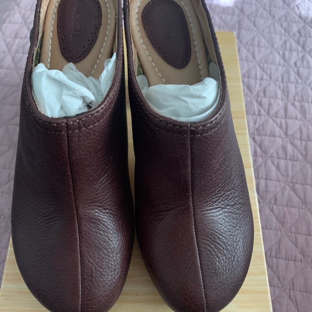 Fossil Clog